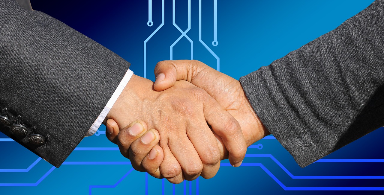 SEO Services - no contracts